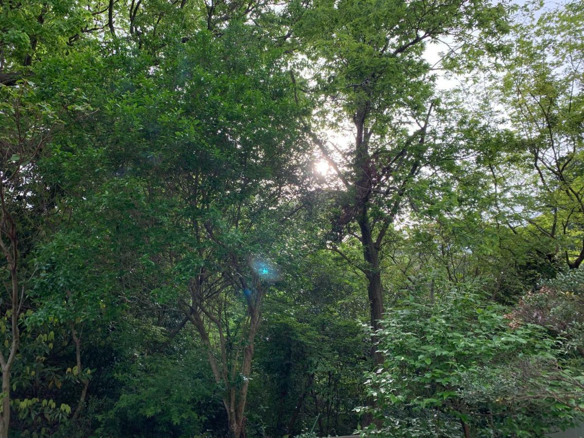 Forest Villa Olive Futo Εξωτερικό φωτογραφία